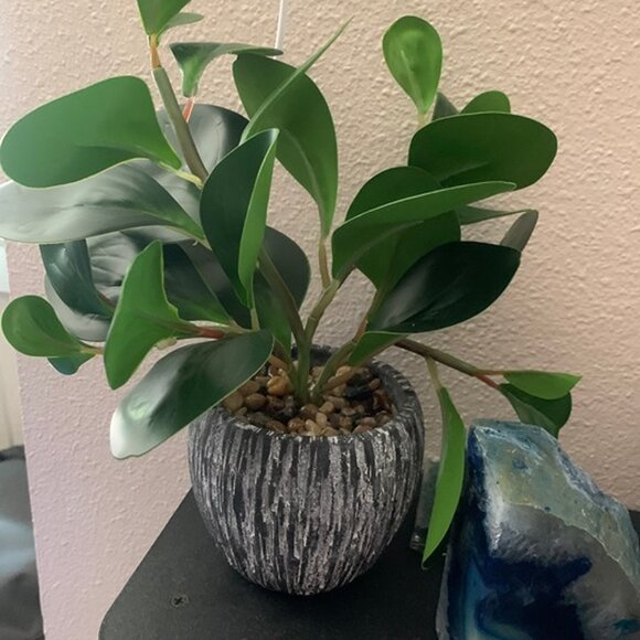 NEW Artificial Plants Real Looking and Touching Fake Plant Evergreen Plastic - Picture 9 of 10